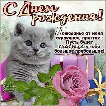 Поздравления С Днем Рождения Женщине С Кошками