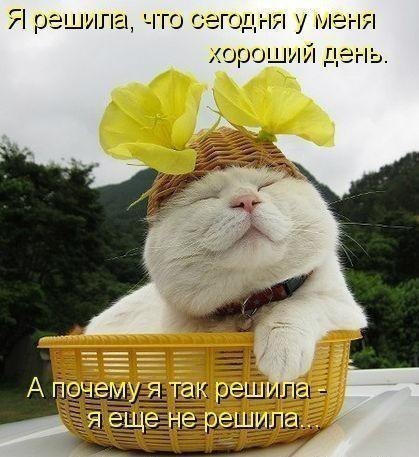 http://forum.ngs.ru/preview/forum/upload_files/dcd344f7d51cd89468f8faee7b7af62c_df8f783d51bcf0be6060437cc900eeee_133024493321_800px.jpg