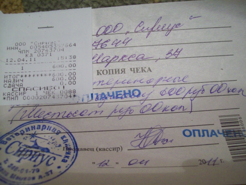 Копия чека. Копии чеков на лекарства. Копия чека в стоматологии. Копия чека на альфу. Копия чека фото.