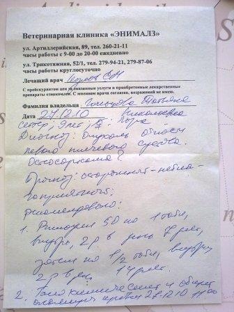 Протокол дерматоскопии образец заполнения