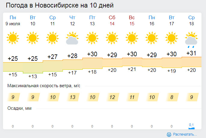 Каким будет лето в новосибирске. Климат Новосибирска. Погода в Новосибирске. Новосибирск климат лето. Новосибирск климат по месяцам.