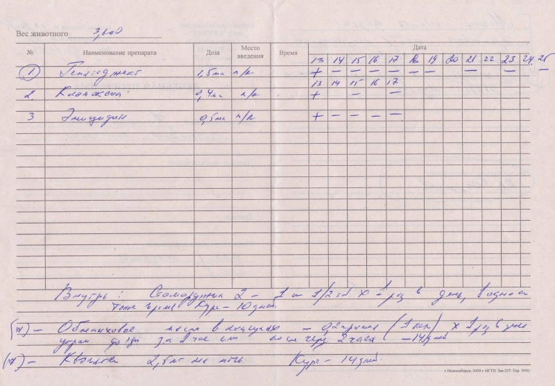 Медицинский лист. Лист врачебных назначений образец заполнения. Процедурный лист форма. Лист врачебных назначений заполненный. Лист врачебных назначений пример заполненный.