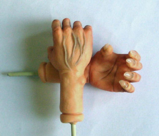 Пластилин палец. Лепка кисти руки. Лепка кистей рук из полимерной глины. Человеческая рука лепка. Руки лепят.
